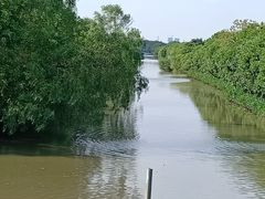 -南沙十九涌渔人码头-南门