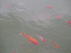 -云溪植物园