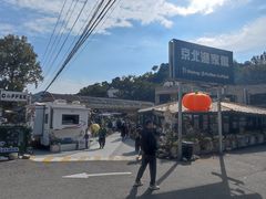 -京北渔家傲