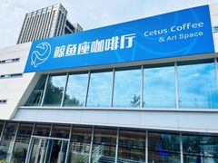 -Cetus coffee鲸鱼座咖啡·拼豆(二仙桥公园店)