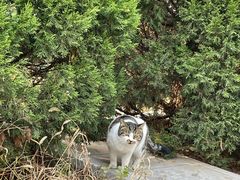 -抱犊寨风景区