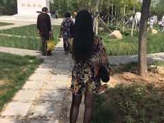 -武清南湖绿博园