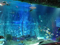 -沈阳海洋探索中心