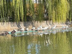 -南翠屏公园