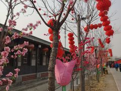 -河北村民俗体验园