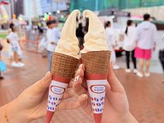 -富豪雪糕车流动点(尖沙咀)