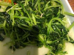 -北京老铺烤鸭(西稍门店)