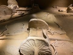 -洛阳周王城天子驾六博物馆