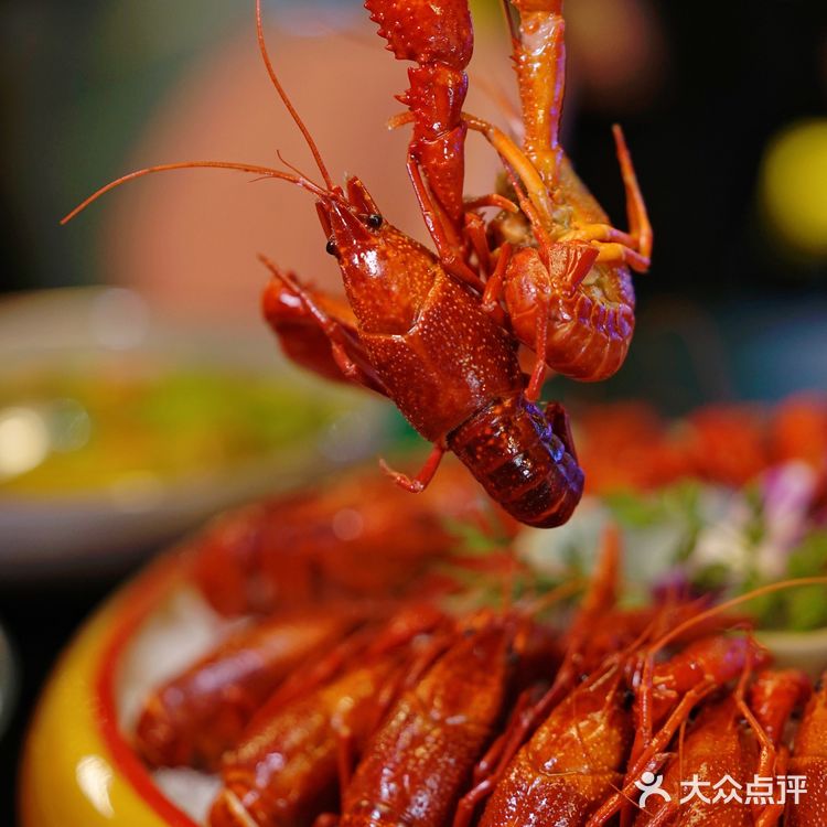 魔都夜宵好去处，龙虾肯定少不了！[礼花]