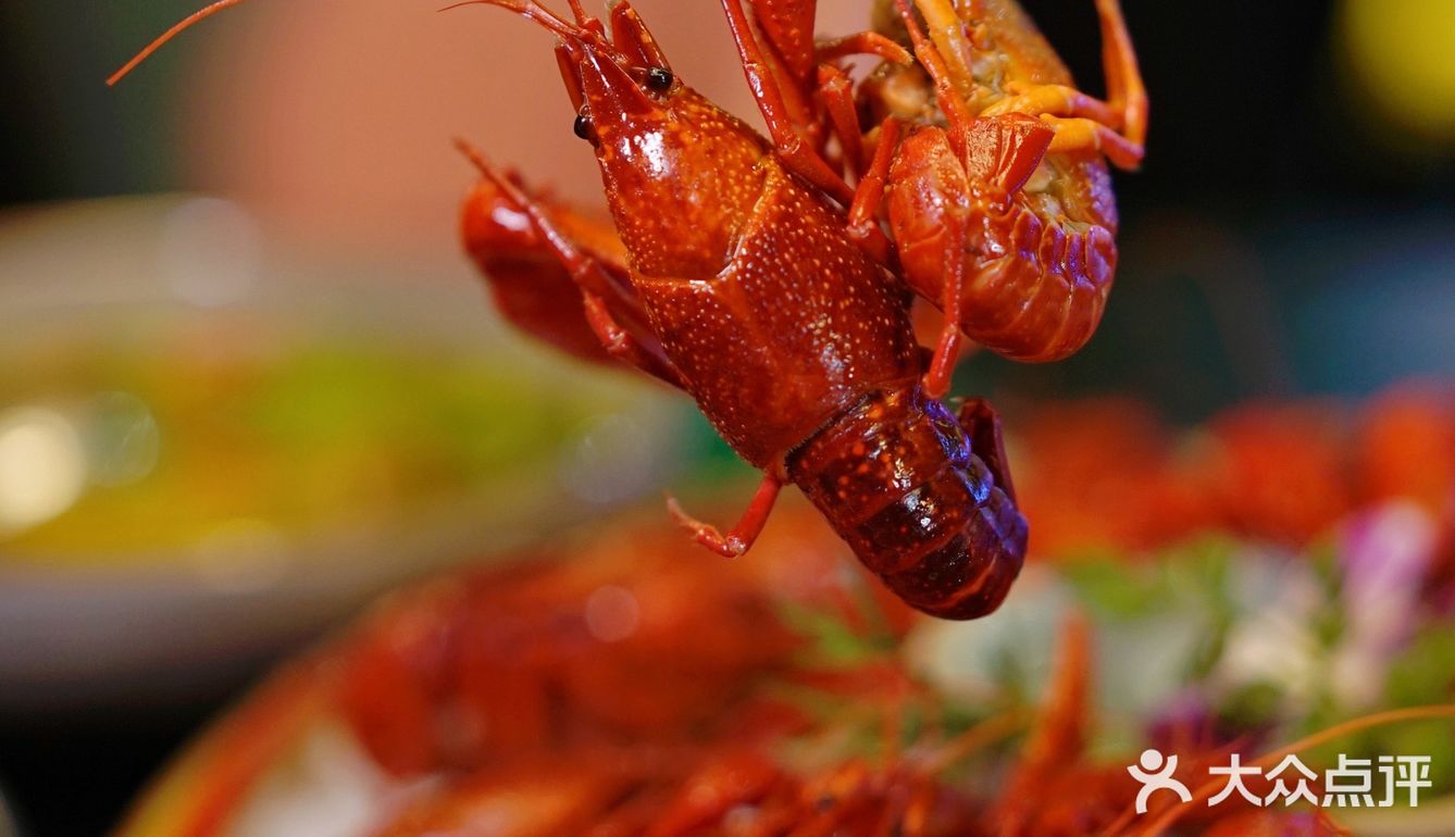 魔都夜宵好去处，龙虾肯定少不了！[礼花]
