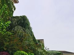 -府河摄影公园