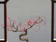 -成都杜甫草堂博物馆