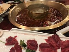 -小龙翻大江文化火锅(宽窄店)