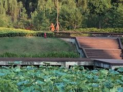 -四里河滨水生态公园