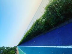 -贡湖湾湿地公园