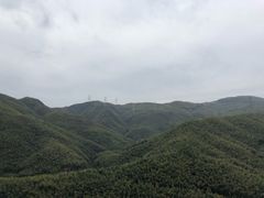 -宁波浙东大竹海景区