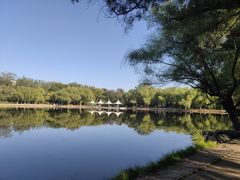 -青城公园