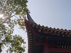 -顺峰山公园