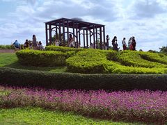 -东莞植物园