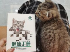 -瑞派宠物医院(搏威敦和院)