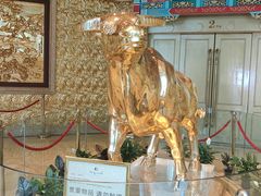 -华西龙希大酒店旅游观光区