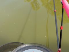 -酷鱼垂钓CLUB(朝阳区博大路店 )