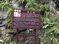 -燕子河大峡谷天坑仙境