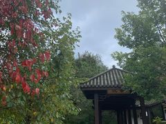 -黑龙江省森林植物园