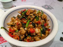 -壹盏灯(惠农店)