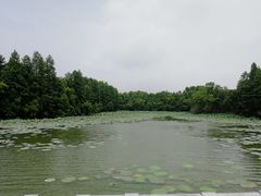 -东湖落雁景区