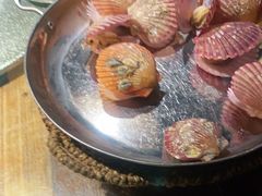 -前海沿·青岛菜(大拇指广场石老人店)