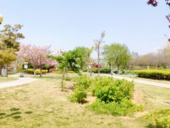 -丁家河公园