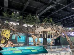 -国家自然博物馆