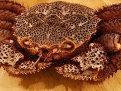 红毛蟹-蟹田居·活蟹料理(东城店)