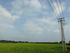 -渔闻农家菜