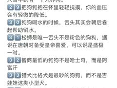 -宠爱国际动物医院· 猫科· 外科·中兽医(长白店)