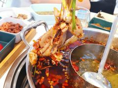 -蛙两只美蛙鱼头火锅(恒茂店)