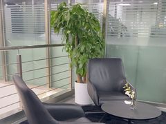 -奔驰利星行(北京花乡店)