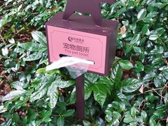 -绿城千岛湖喜来登度假酒店