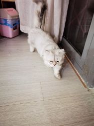 -Beauty Nails 美甲美睫皮肤管理