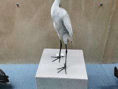 -陕西自然博物馆