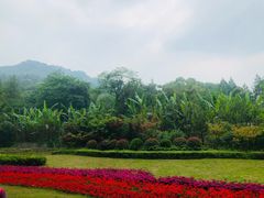 -青城山