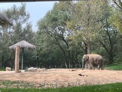 -北京野生动物园