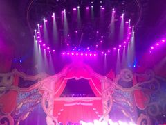 -珠海横琴长隆《卡卡虎奇遇记》