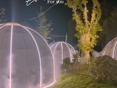 -悦见花开·花园里的火锅·露营·下午茶