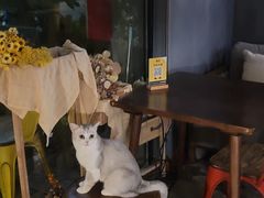 -咖法森林·咖啡  酒吧(天河店)