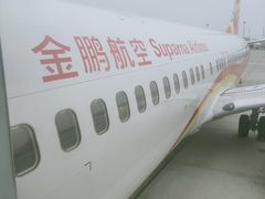 -金鹏航空有限责任公司(祝潘公路店)