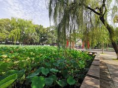 -四川大学(望江校区)