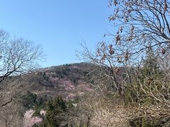 -北京西山国家森林公园