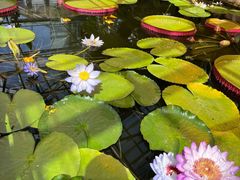 -国家植物园南园